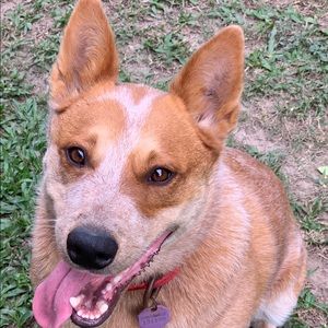 Meet your Posher, Debbie